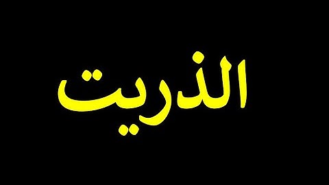 51 قورئانی پیرۆز به‌ ته‌فسیری کوردی سوره‌تی الذریت