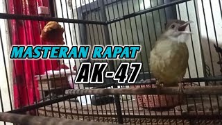 MASTERAN KAPAS TEMBAK SPEED RAPAT AMPUH UNTUK PANCINGAN