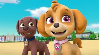 Paw Patrol Mission Paw Games - Paw Patrol Mighty Pups On A Roll - Ultimate Rescue Nick Jr. HD