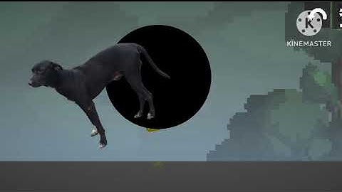 Melon playground black hole add round 1