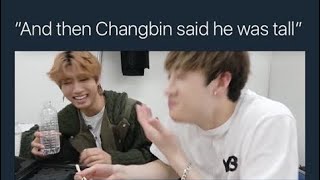 Stray Kids Twitter memes because why not?