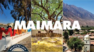 MAIMARA JUJUY.QUE HACER EN UN DIA?