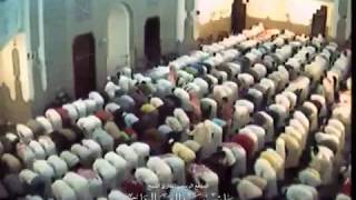 Syaikh Hani Arrifai 'الشيخ هاني الرفاعي' [Sholat Isya']