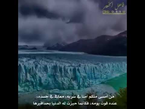 اين تجد الراحة الحقيقة شاهد حفظك الله