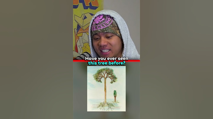 HAVE YOU SEEN THIS CURSED TREE 😱 EP.212 @jumpersjump