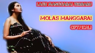 LAGU MANGGARAI TERBARU 2025 ‼️MOLAS MANGGARAI‼️Cipt:Icali🍋🍋