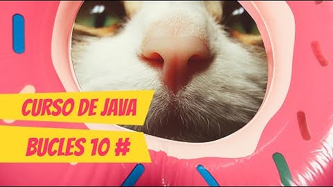 Meter 10 números por teclado y que el programa diga cuántos son positivos y cuántos son negativos ✴️