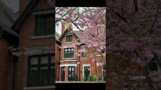 #nottingham Nottingham in Spring🌸| From Robin Hood to Remembrance|Cinematic Short #flowers #spring