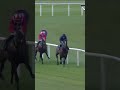 Florida Bay lands Tyros Stakes 🏆