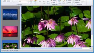 How it works: Free JPG PNG TIF to PDF Converter screenshot 4