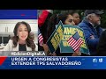 Abogada de inmigración responde: estas son las opciones tras el fin del TPS para El Salvador