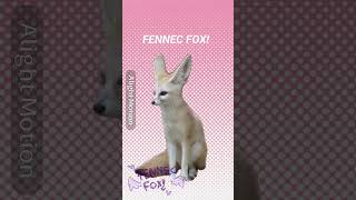 Am I teh cutest littlest fennec fox? 🥺🥺🫣🫣😳😳#fennec#alightmotion#animation#art