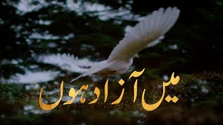 Main Azad Hu | Nasheed