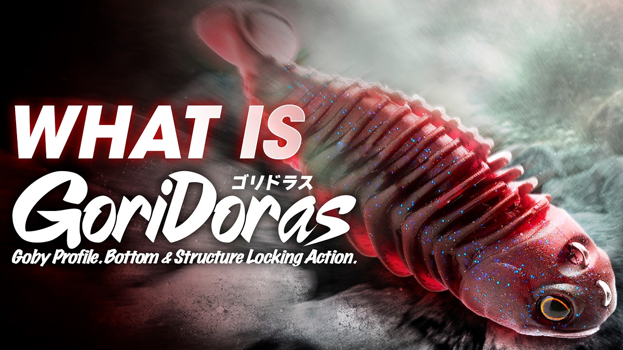 What is GORIDORAS  / ゴリドラス完全解説 加木屋守