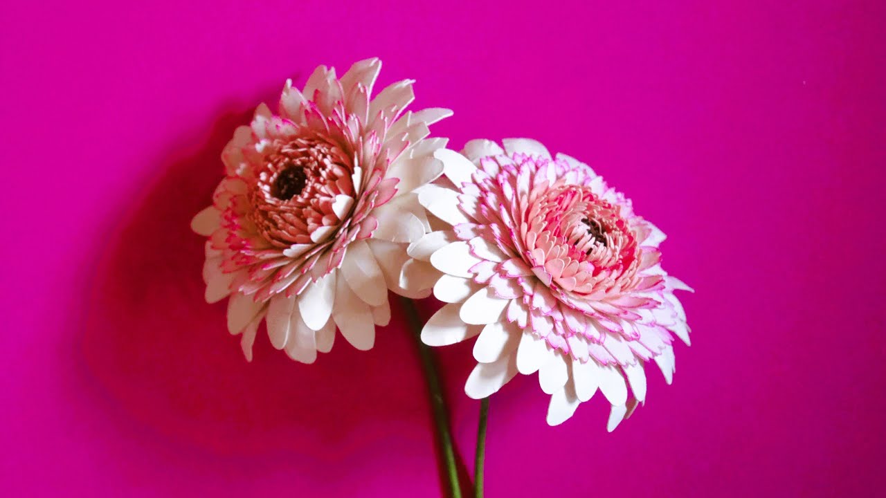 Гербера Болеро Лиза Лиза Часть 2