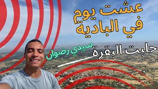 ثاني يوم في وزان وسيدي رضوان حلبت البقرة وعشت يوم في البادية