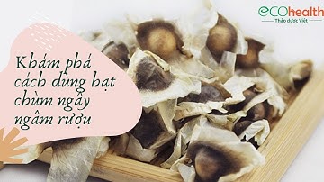 Khám phá cách dùng hạt chùm ngây ngâm rượu