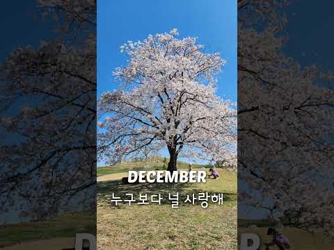 디셈버 - 누구보다 널 사랑해