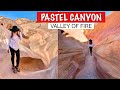 PASTEL CANYON VALLEY OF FIRE STATE PARK | 5 MINUTE WALK