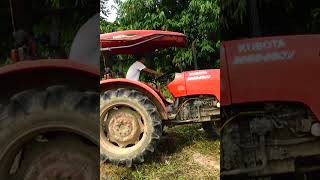 CẬN CẢNH Mãn Nhãn kubota m6040 price in india #m6040su  #Shorts #kubota #tractor #maycay #fyp #farm