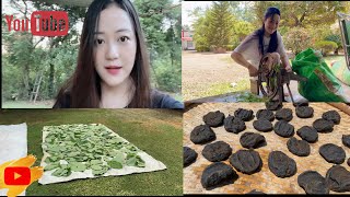 Learn how to make Anishi from scratch (taro leaves)| Ao Naga traditional Food| Yangthy Imchen