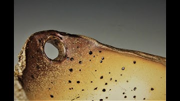 Hand Building Trays and Bowls From Clay Slabs.