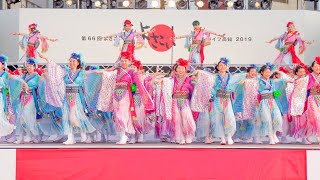 [4K] ＤＤよさこいチーム　高知よさこい祭り 2019 本祭1日目 (中央)
