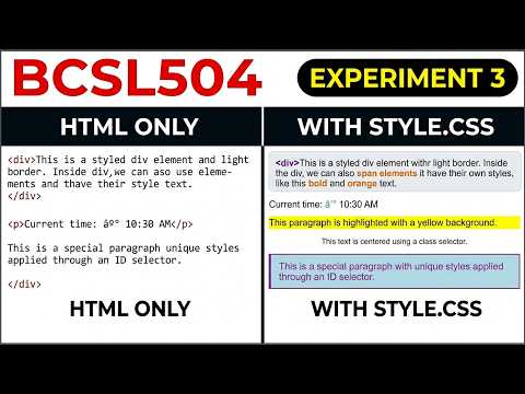 BCSL504 Program 3 | External CSS & CSS Selectors | style.css | Web Technology Lab