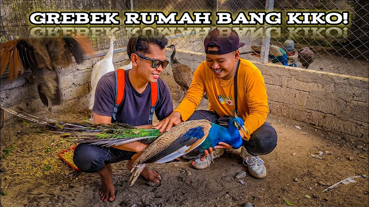 KALIMANTAN KE SULAWESI GEREBEK RUMAH DAN HEWAN PELIHARAAN BANG KIKO😅 #bocahpecicilan