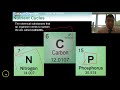 Cycles of Matter Quiz