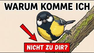 Warum kommen Gartenvögel zu manchen Menschen — aber nicht zu dir?