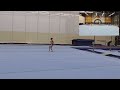 Level 5 6ft under  wag floor routines