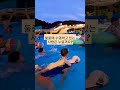 우아하게 헤엄치는 백조의 물 아래 모습, 아니 아빠의 모습