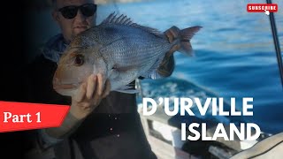 D'Urville Island Fishing