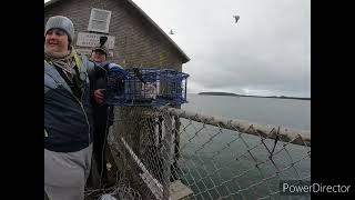 DOCK CRABBING TILLAMOOK BAY *ft. NORTHWEST WEEKENDERS* Fishing Pole Snare vs Crab Pot!