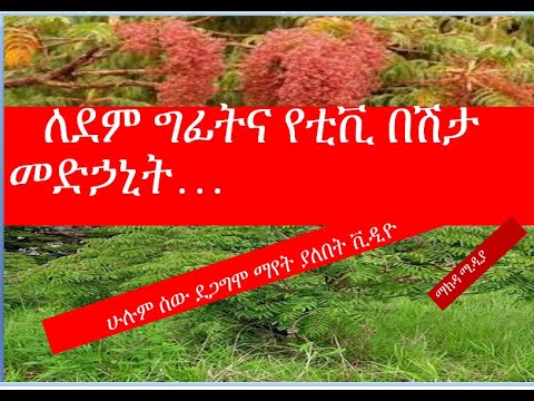 ቪዲዮ: ለቲቪ ፕለጊን እንዴት እንደሚጭን