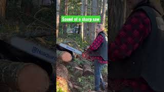 shorts  The Sound Of A Sharp Chainsaw chainsaw chainsawsharpening  handfiling treework logging