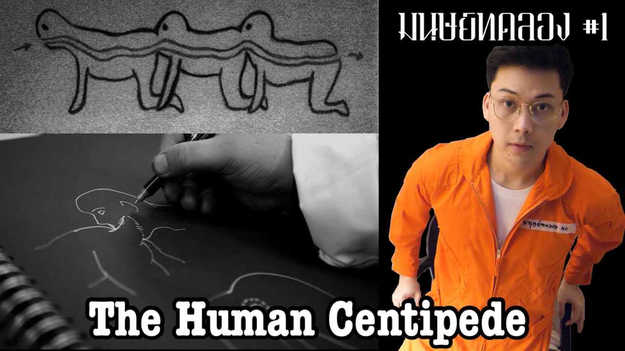 “ The Human Centipede ” มนุษย์ตะขาบ || มนุษย์ทดลอง No.1 | เนื้อหาที่เกี่ยวข้องระบบ ย่อย อาหาร docที่มีรายละเอียดมากที่สุดทั้งหมด