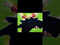 One piece-No lie