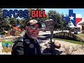 Texass own pecos bill javelinas first rodeo ever