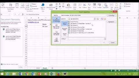 ITAPPS LAB 9 ACTIVITY 4 (EXCEL)