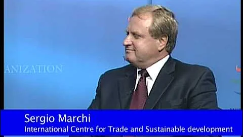 The role of WTO services rules in the context of the crisis