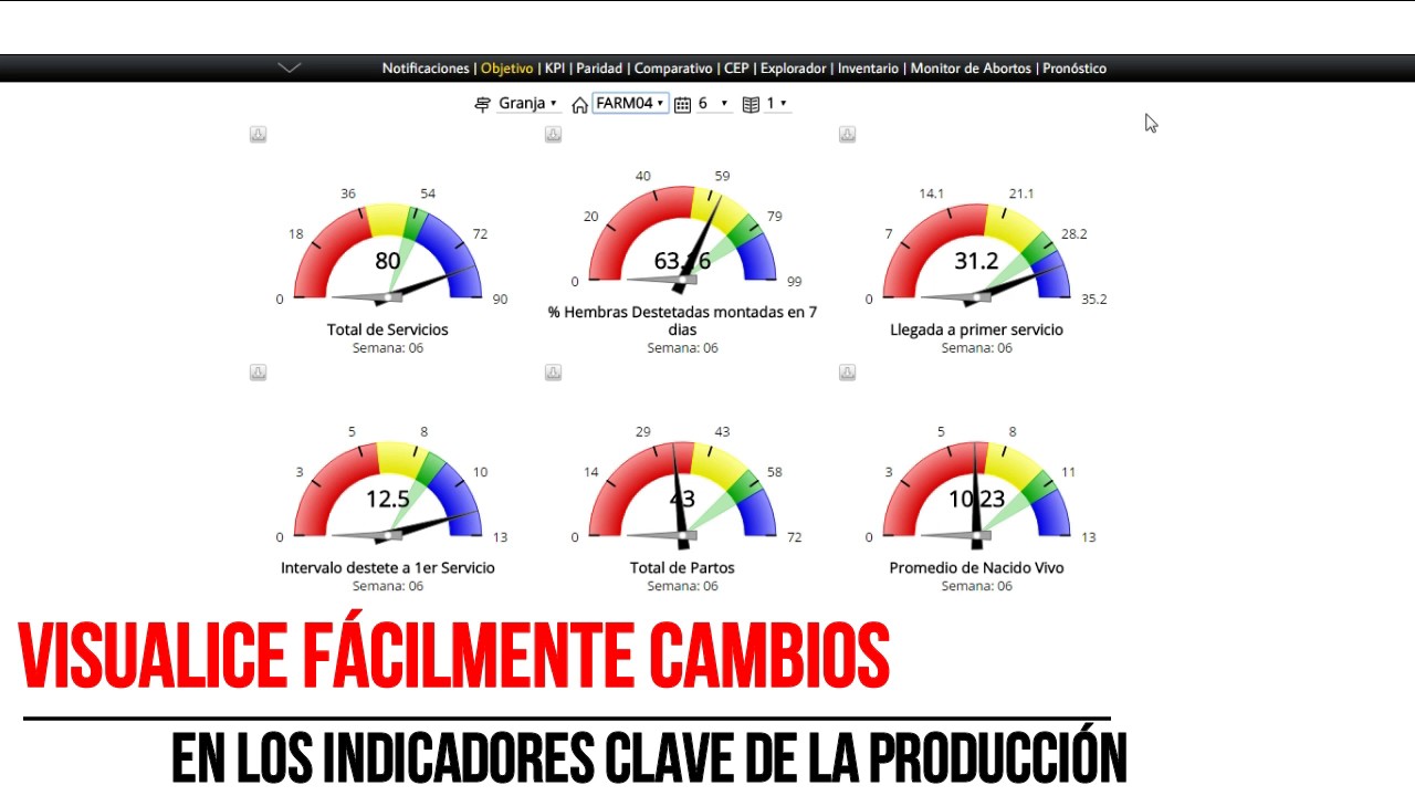 Notificaciones ABI Software para Cerdo - YouTube