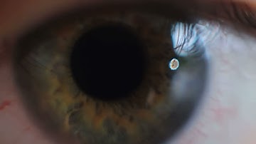 Eclipse (Official Music Video)