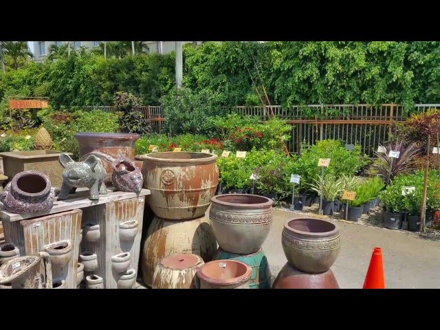 Pottery & Water Features - Driftwood Garden Center