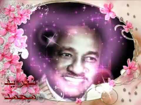 عثمان حسين قلبي الحزين بقول تعالى فاسمع نداي وارحم لحالي تغريد محمد