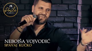 Nebojsa Vojvodic - Spavaj kucko - (Posle Fajronta | Cross 2020)