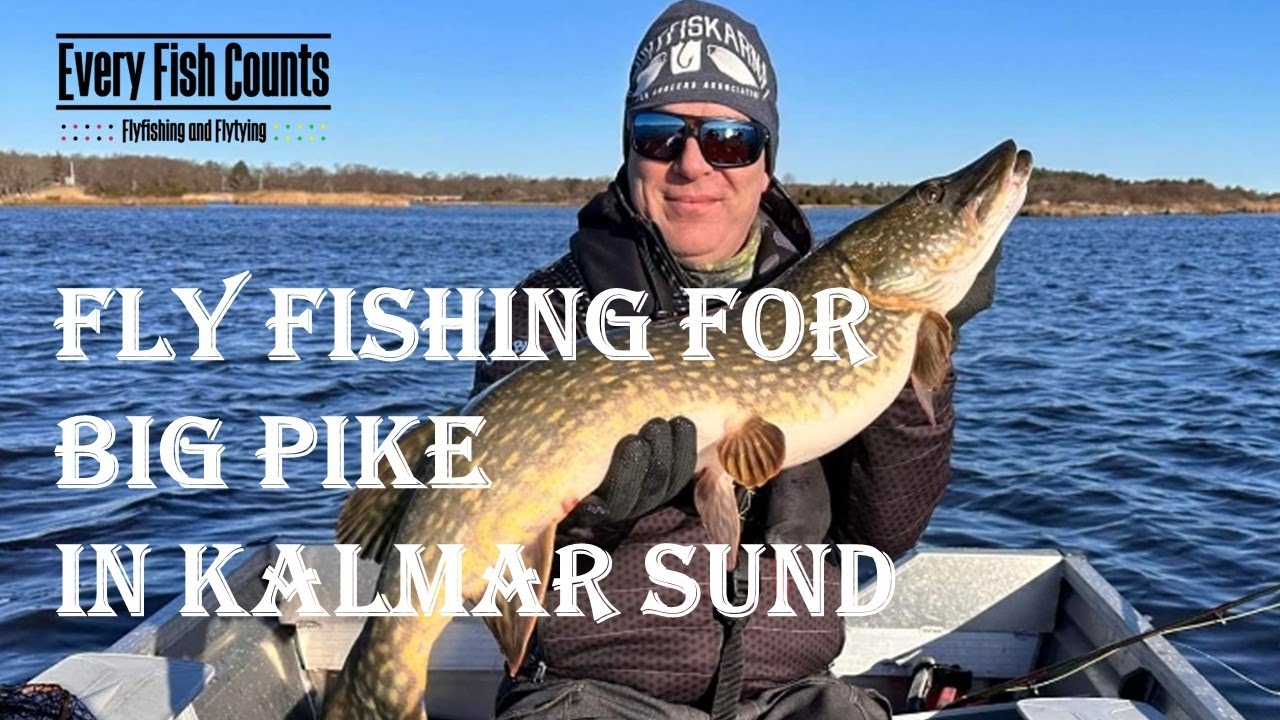 Fly Fishing For Big Pike In Kalmar Sund YouTube