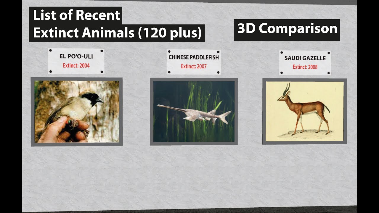 List of Recent Extinct Animals 120 plus | Extinct Animals 1600 to 2023 | 3D Comparison | Data Chart