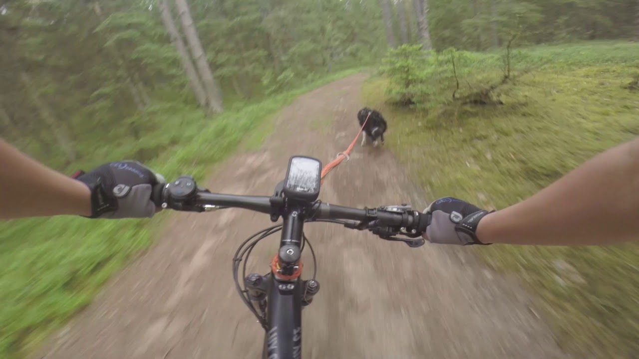 Di bikejoring training 2020.07.05 YouTube